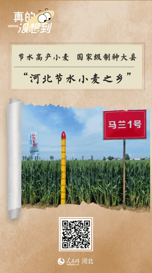 图片18