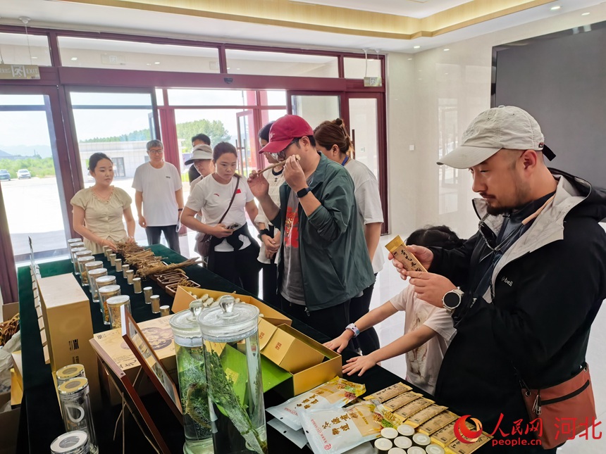 体验官们走进河北塞罕金葫芦药业有限公司。人民网商帆摄