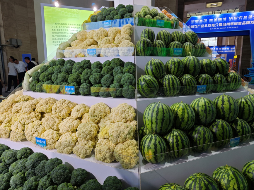 沧州各地特色农产品展示。张峻豪摄