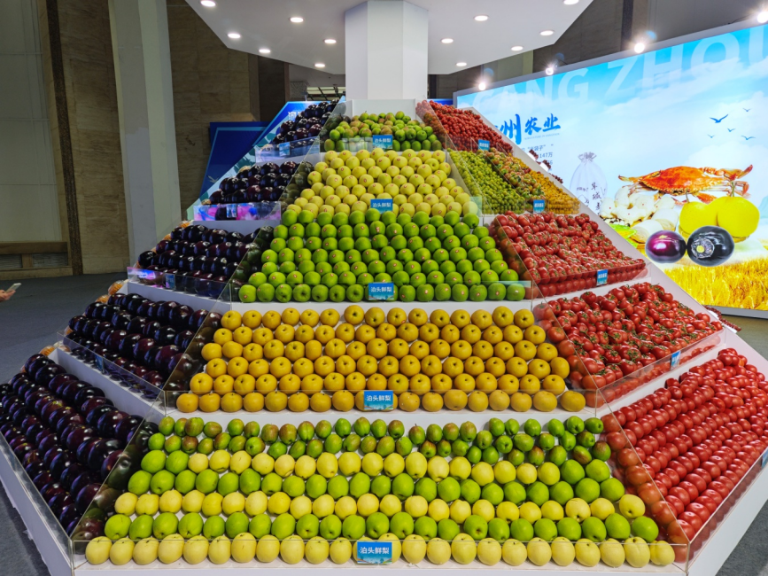 沧州各地特色农产品展示。张峻豪摄