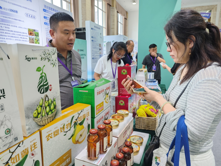 采购商与沧州农产品企业交流。张峻豪摄