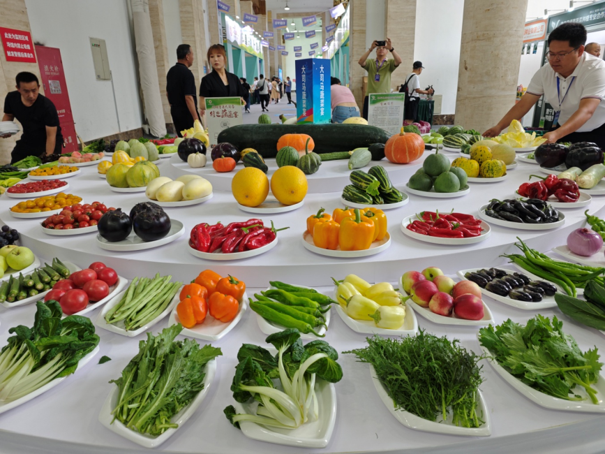 沧州青县司马庄蔬菜展示。张峻豪摄
