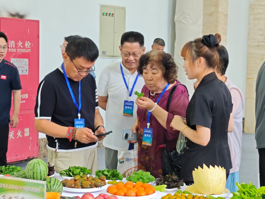 采购商品尝沧州青县司马庄蔬菜。张峻豪摄