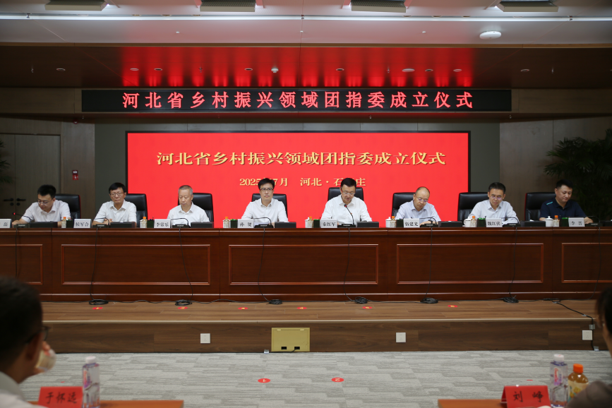 河北省乡村振兴领域团指委成立仪式现场。王璇摄河北省乡村振兴领域团指委成立仪式现场。王璇摄