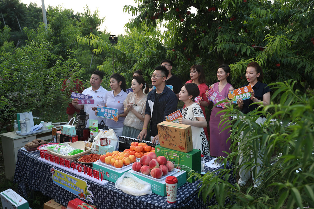 主持人公益团直播助农顺平专场活动现场。吴潇摄