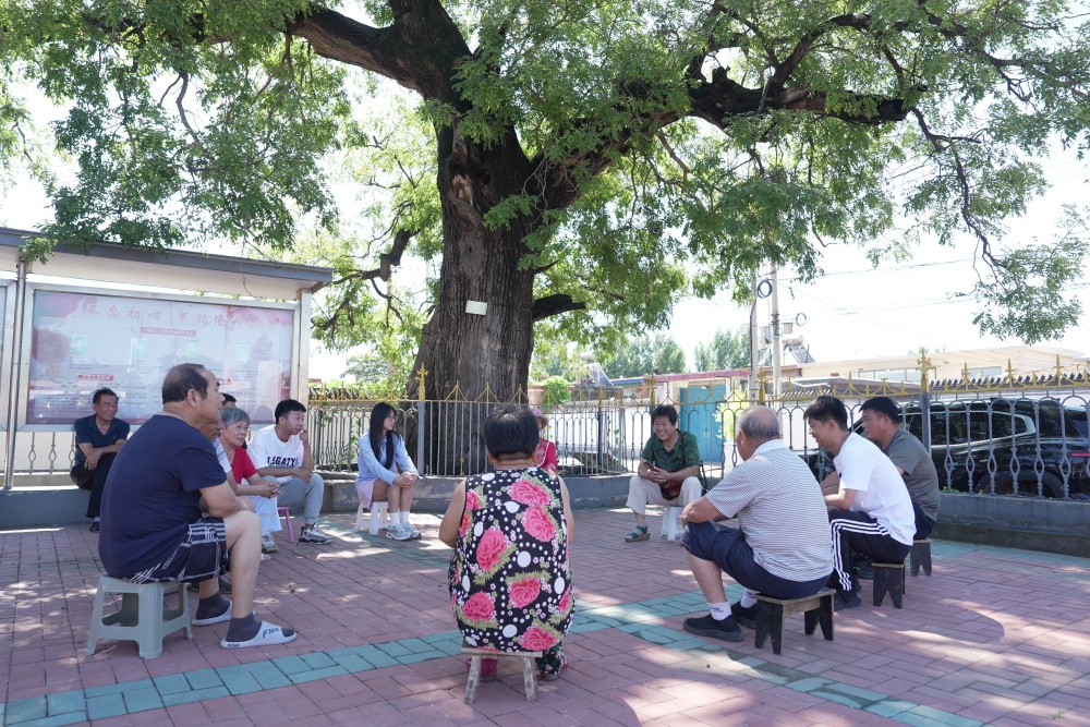7月30日，迁安市彭店子镇大周庄村大槐树下正在举行文明新风宣讲。王志斌摄