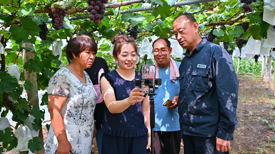 電商直播老師向葡萄種植戶講述手機直播知識。張俊杰攝