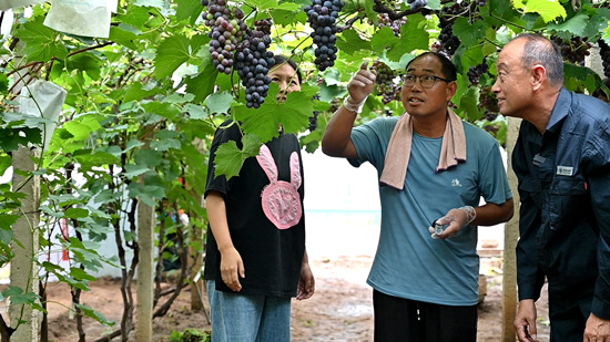 電商直播老師向葡萄種植戶講述手機直播知識。張俊杰攝