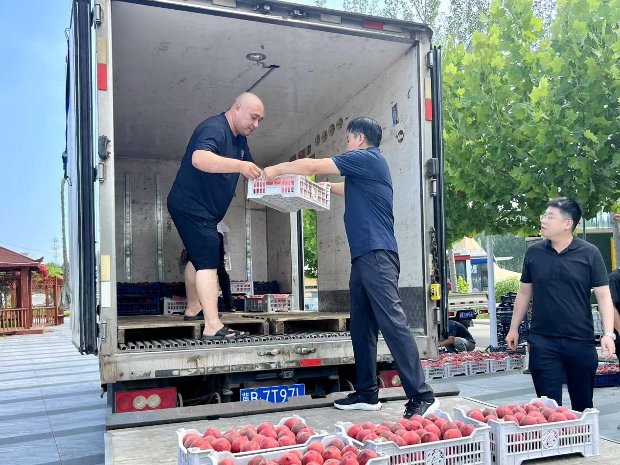 驻村工作队队员们将桃子装车。陈军摄