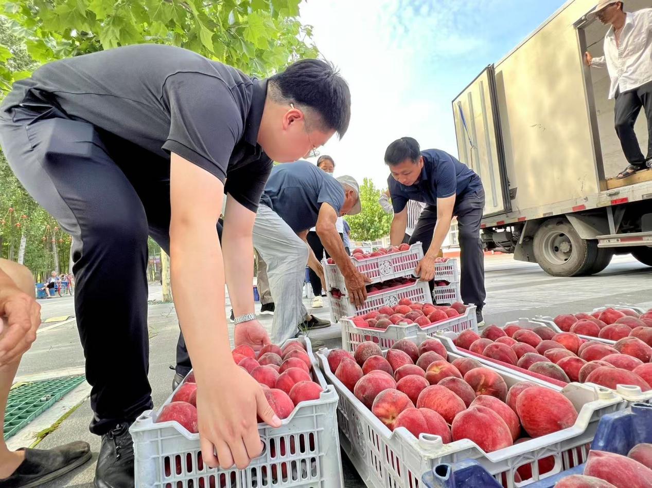 驻村工作队队员们将桃子装车。陈军摄