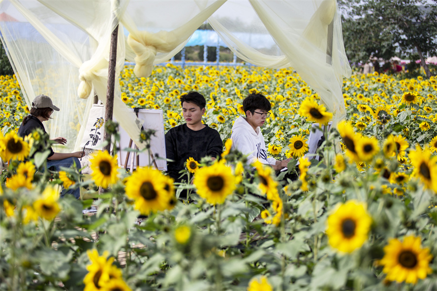 9月28日，河北省邯郸市复兴区二六七二街道东高河村，邯郸学院的学生在“千亩花海”写生。聂长青摄