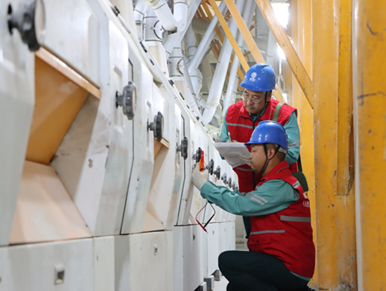 国网无极县供电公司员工到河北金鼎粮食有限公司开展走访服务。仝云涛摄