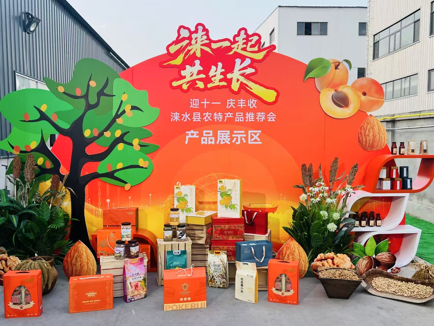 产品展示区。贾晨阳摄