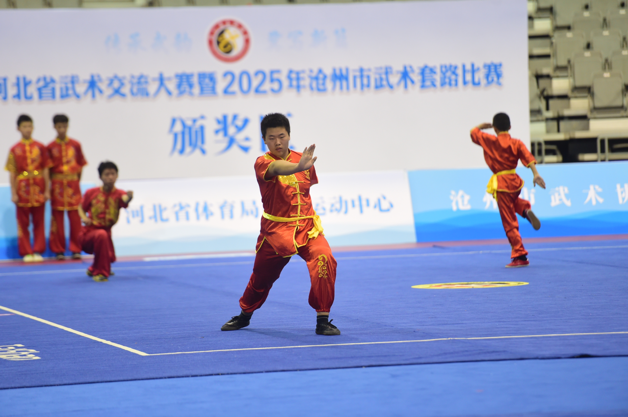 选手在首届河北省武术交流大赛暨2025沧州武术套路比赛上亮招。傅新春摄