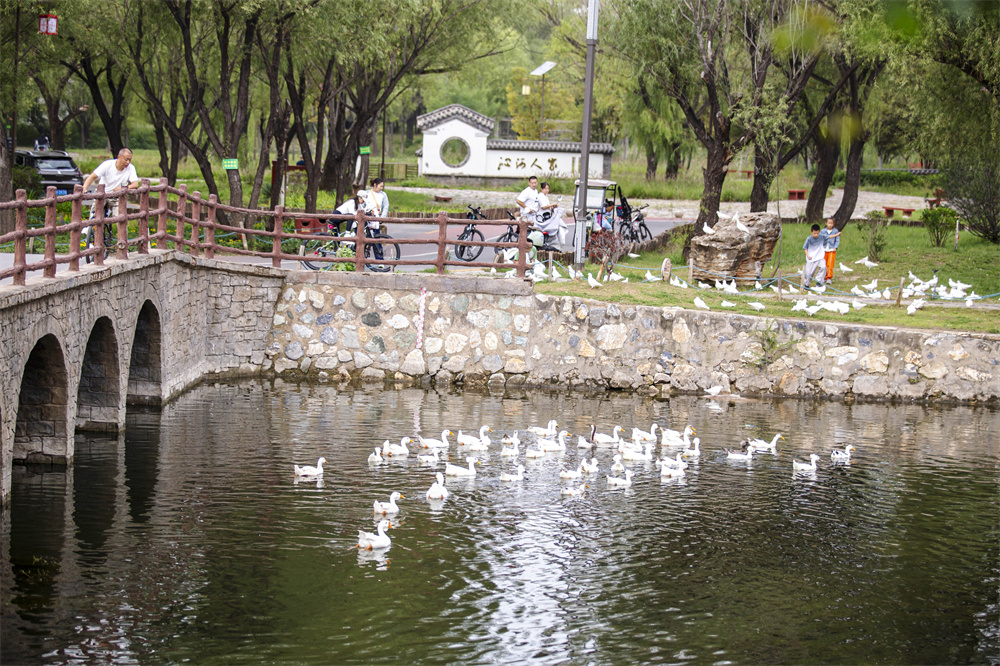 10月1日，河北省邯郸市复兴区沁河郊野公园，市民和游客正在沁河岸游玩。聂长青摄