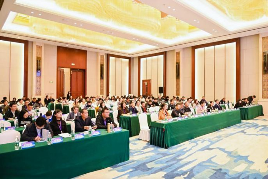 学术年会现场。主办方供图