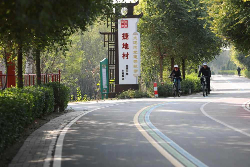 10月21日，市民在河北省沧县段运河堤顶路上骑行。田博摄