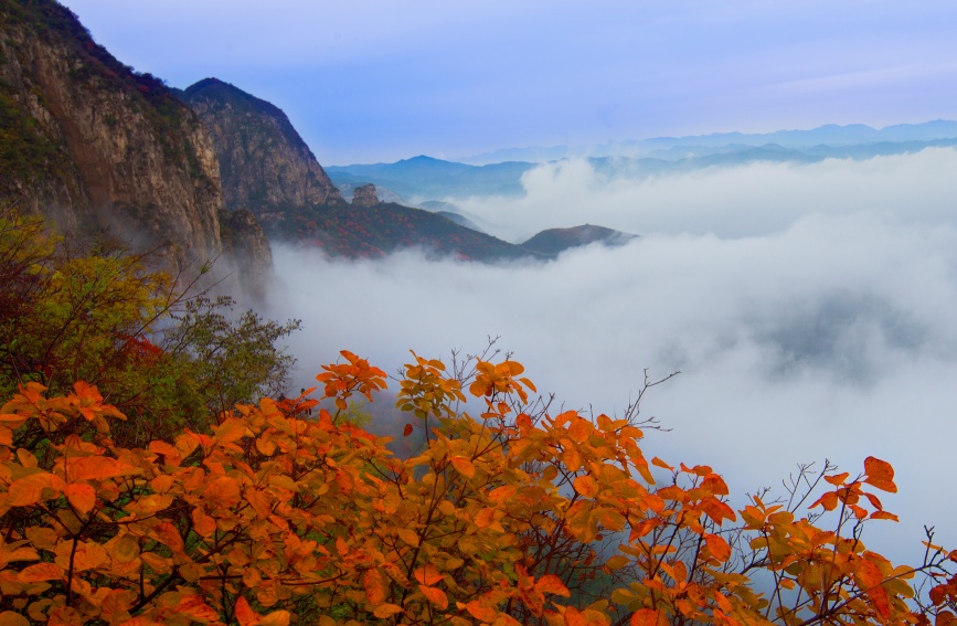 河北省邯郸市涉县太行五指山红叶（无人机航拍）。涉县太行五指山景区供图