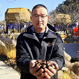 賈春雷：用短視頻讓千年栗鄉“出圈”又致富