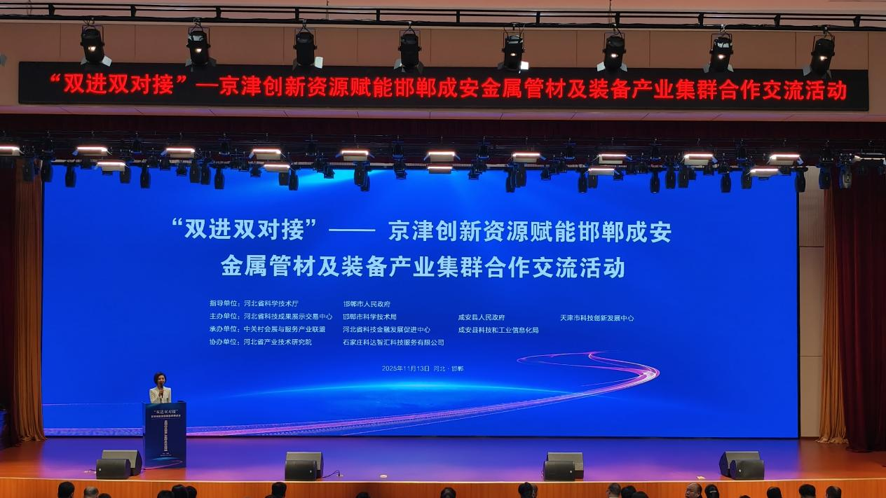 活动现场照片。赵子歉供图