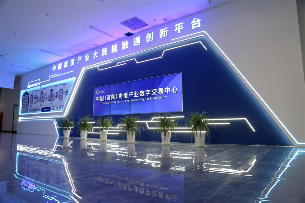 11月4日，中国（馆陶）禽蛋产业数字交易中心。郭江鹏摄