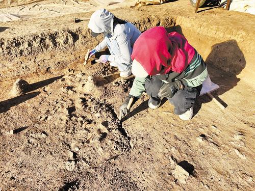 9月18日拍攝的平泉東山頭遺址考古現場。 河北省文物考古研究院供圖