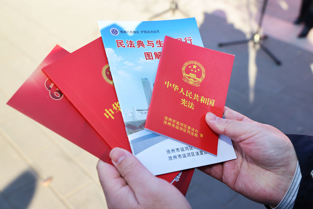 普法宣传员为群众发放宣传手册。杨洋摄