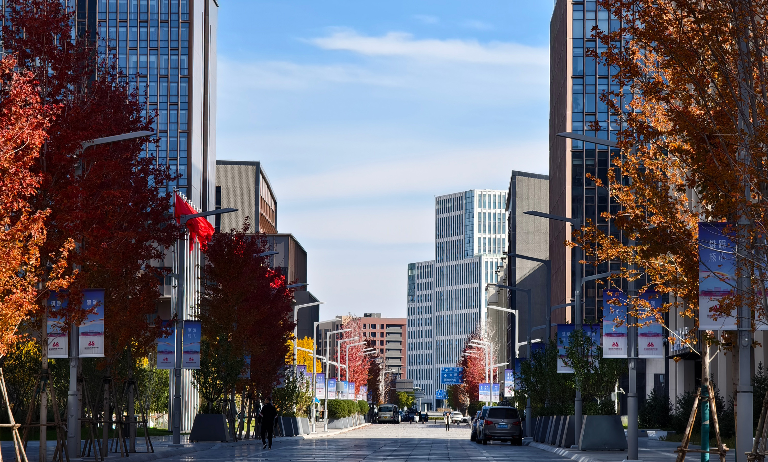 深秋·容東。楊昕宇攝