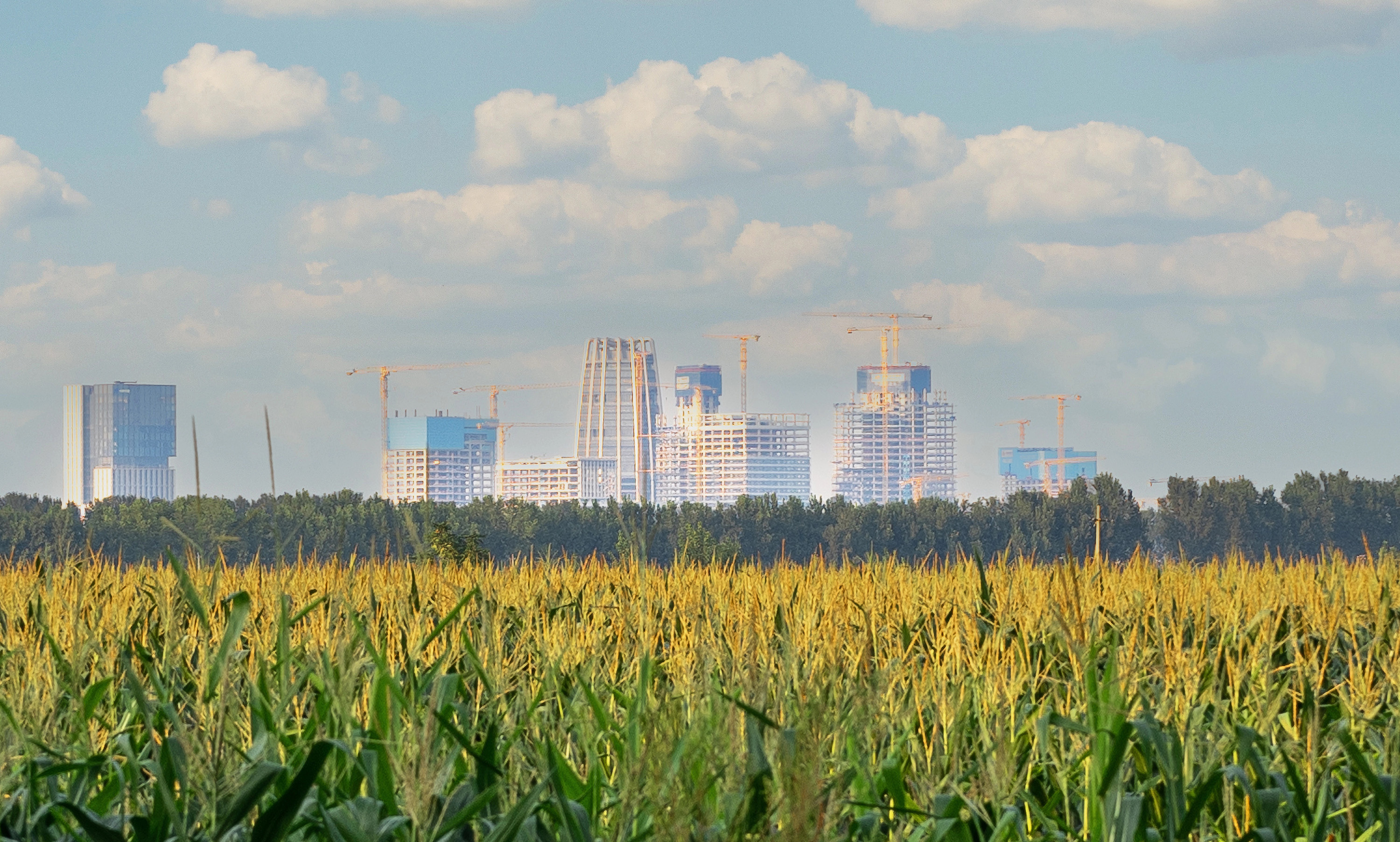 希望·節節高。金瀟楠攝