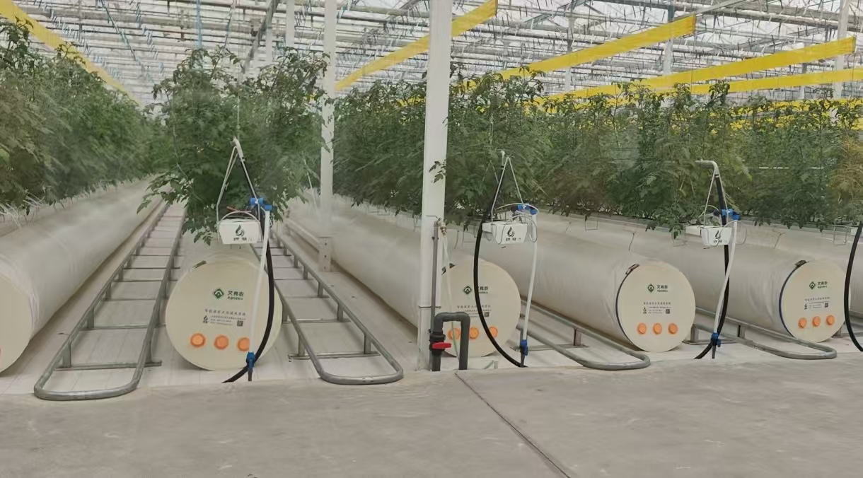 大名县智慧科技产业园里的高标准智能化玻璃温室。