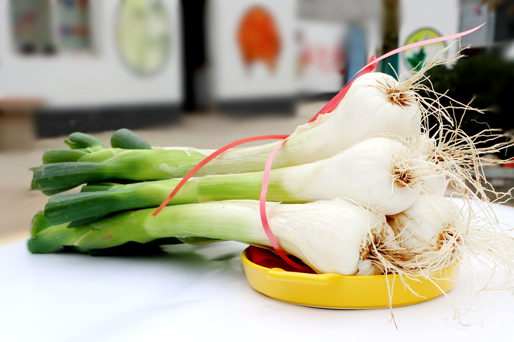 河北隆堯：“雞腿蔥”分級定檔掙大錢