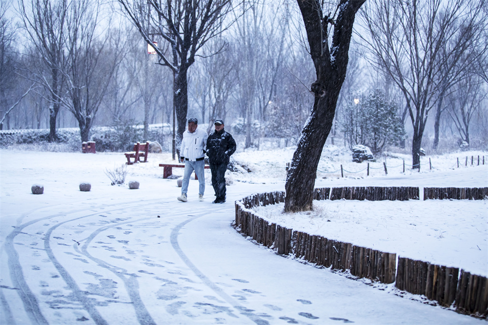 12月12日，河北省邯鄲市復興區沁河郊野公園，市民和游客在雪中漫步，打卡拍照。聶長青攝