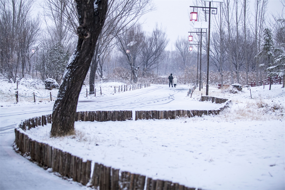 12月12日，河北省邯鄲市復興區沁河郊野公園，市民和游客在雪中漫步，打卡拍照。聶長青攝