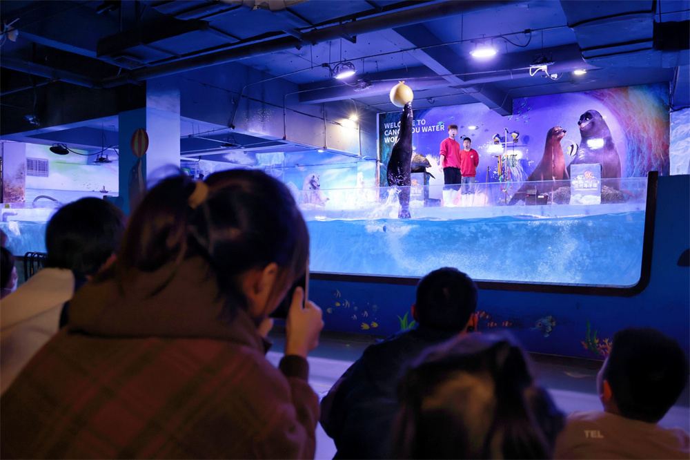 孩子们观看海狮表演。杨洋摄