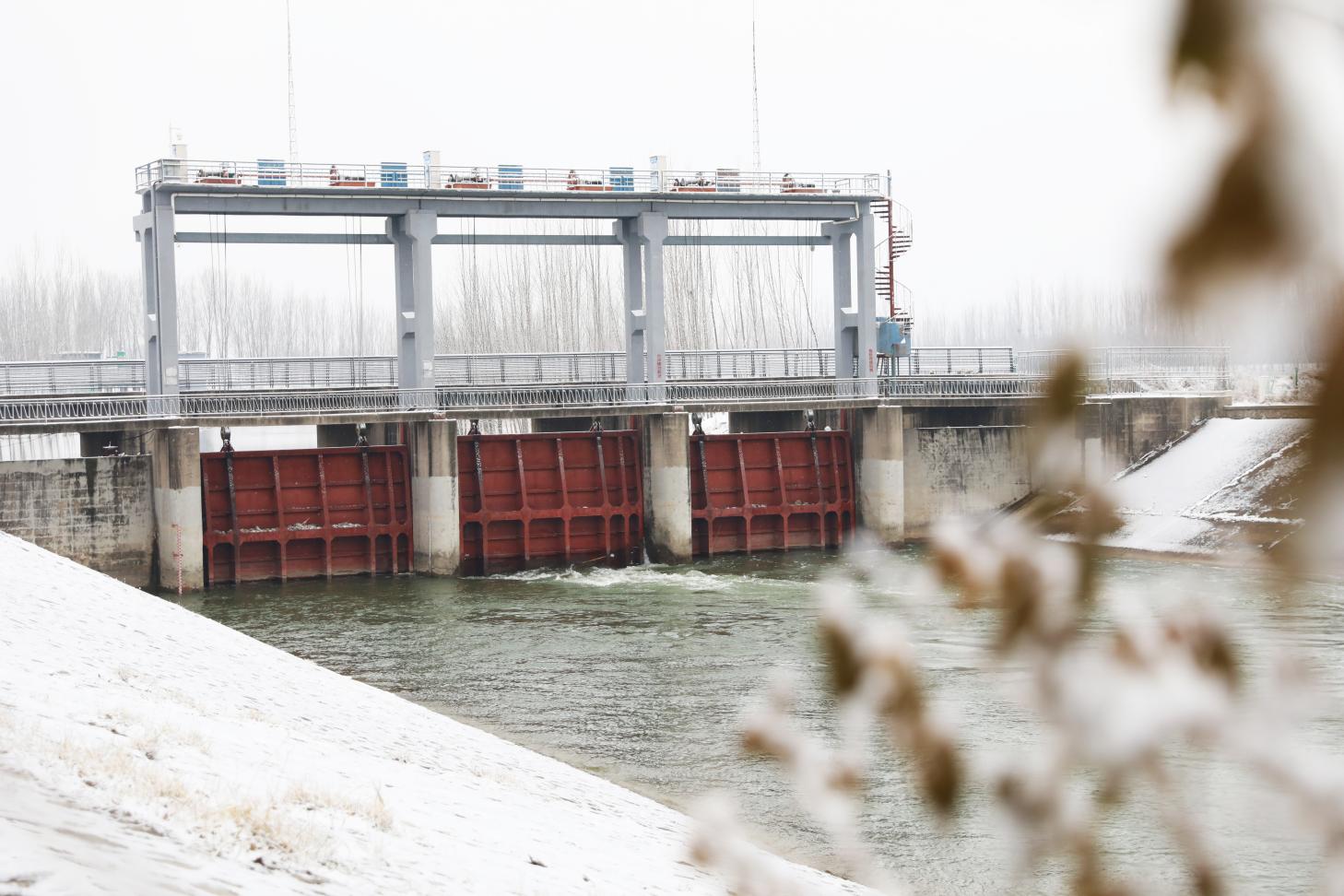 降雪过后,大运河河北南皮段河水依然流淌。靳东凯摄