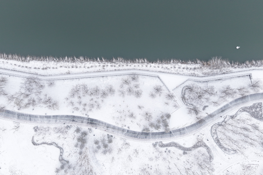 大運河畔的城市公園，冬日韻味十足。王韜攝