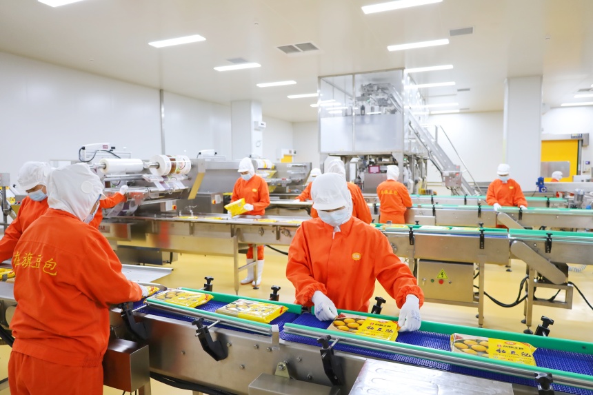 青龍“在旗”黏豆包生產線。張寶攝