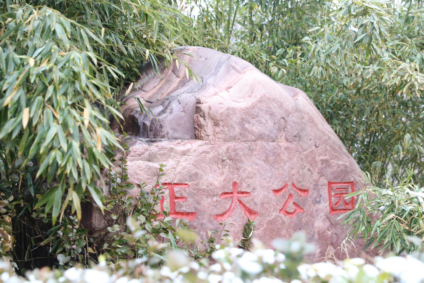 掩映在常绿植物中的正大公园石碑。赵华靖摄