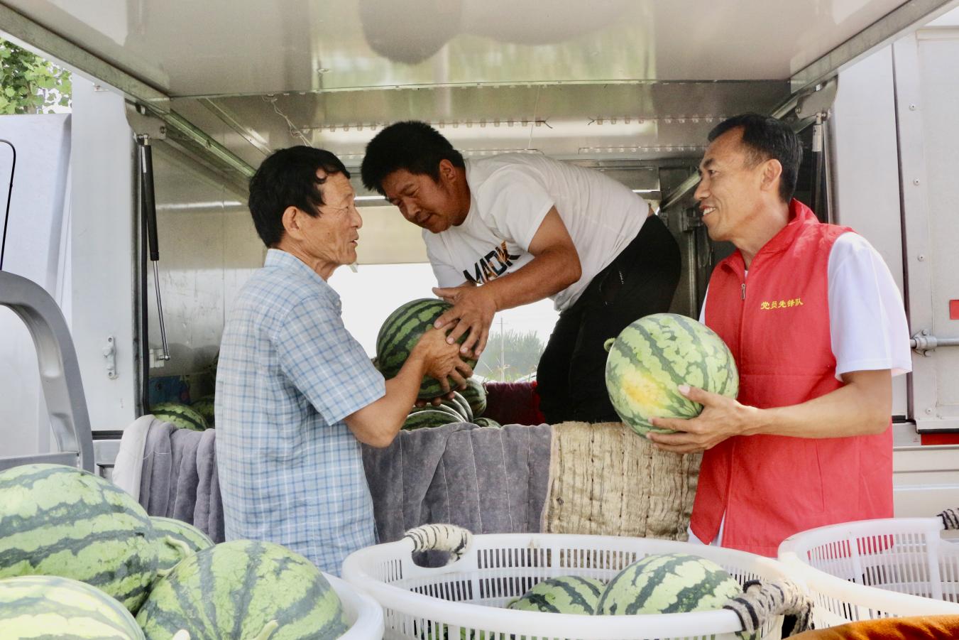 尖字沽乡党员干部到雁翎庄村西瓜大棚帮瓜农搬运西瓜。张宁摄