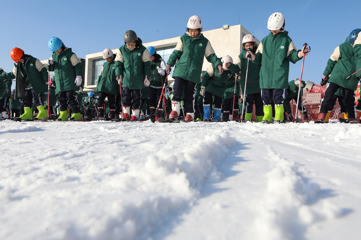 張家口市組織多所學校青少年接觸冰雪運動。武殿森供圖