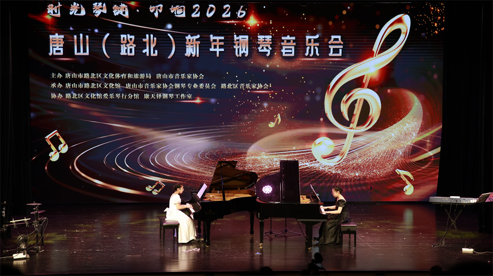 音樂會現場。陳樺楠攝