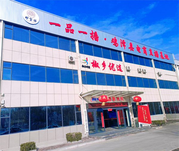 一品一播·鸡泽县电商直播基地。魏晓摄