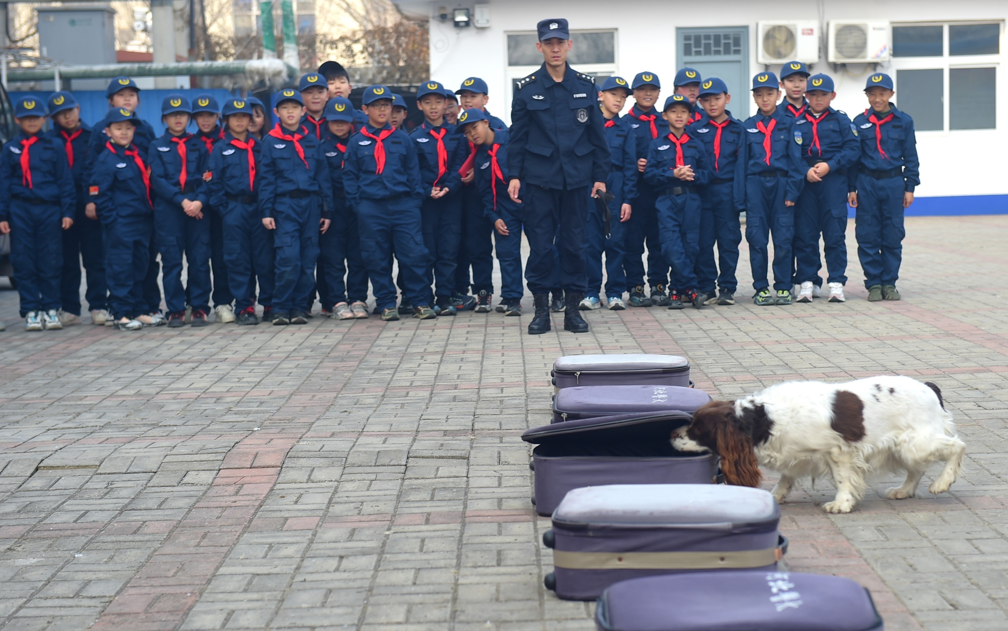 小学生观看警犬搜寻。傅新春摄