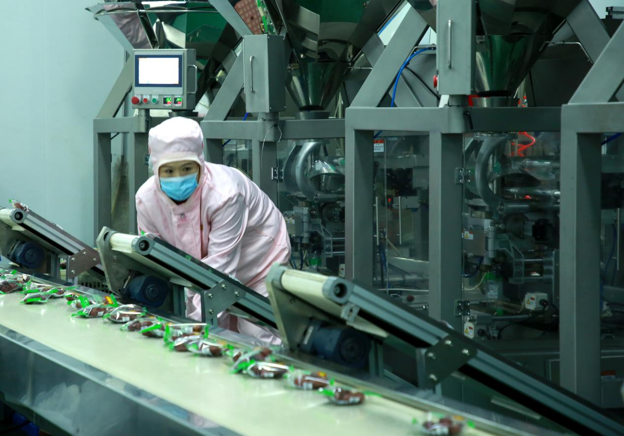 在河北滄縣的棗加工企業的生產線上，工人正在查看設備運行情況。殷實攝