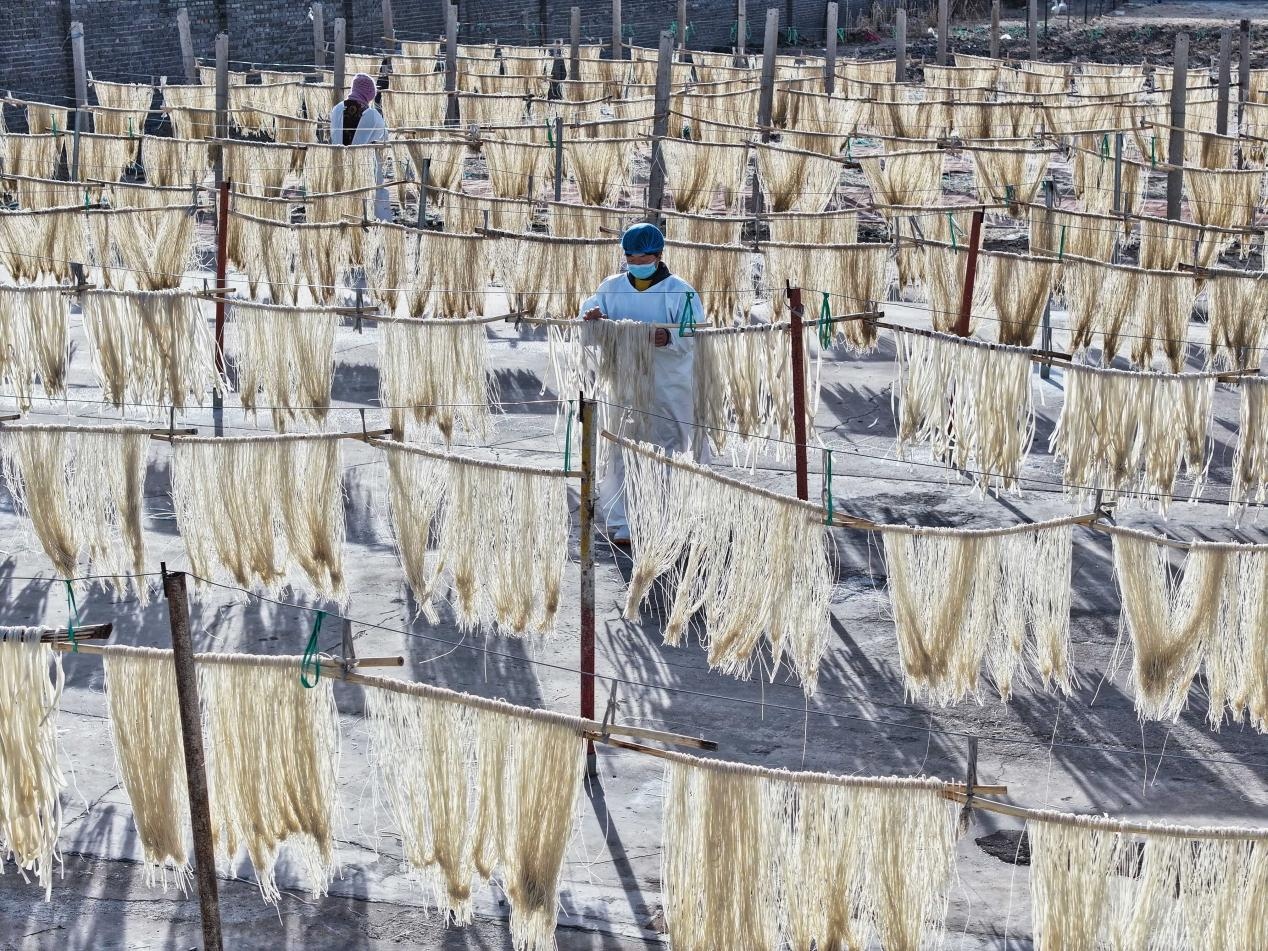 在豐南區大新庄鎮爽坨三村一家食品坊，農戶們正忙著晾晒手工粉條。畢帥攝