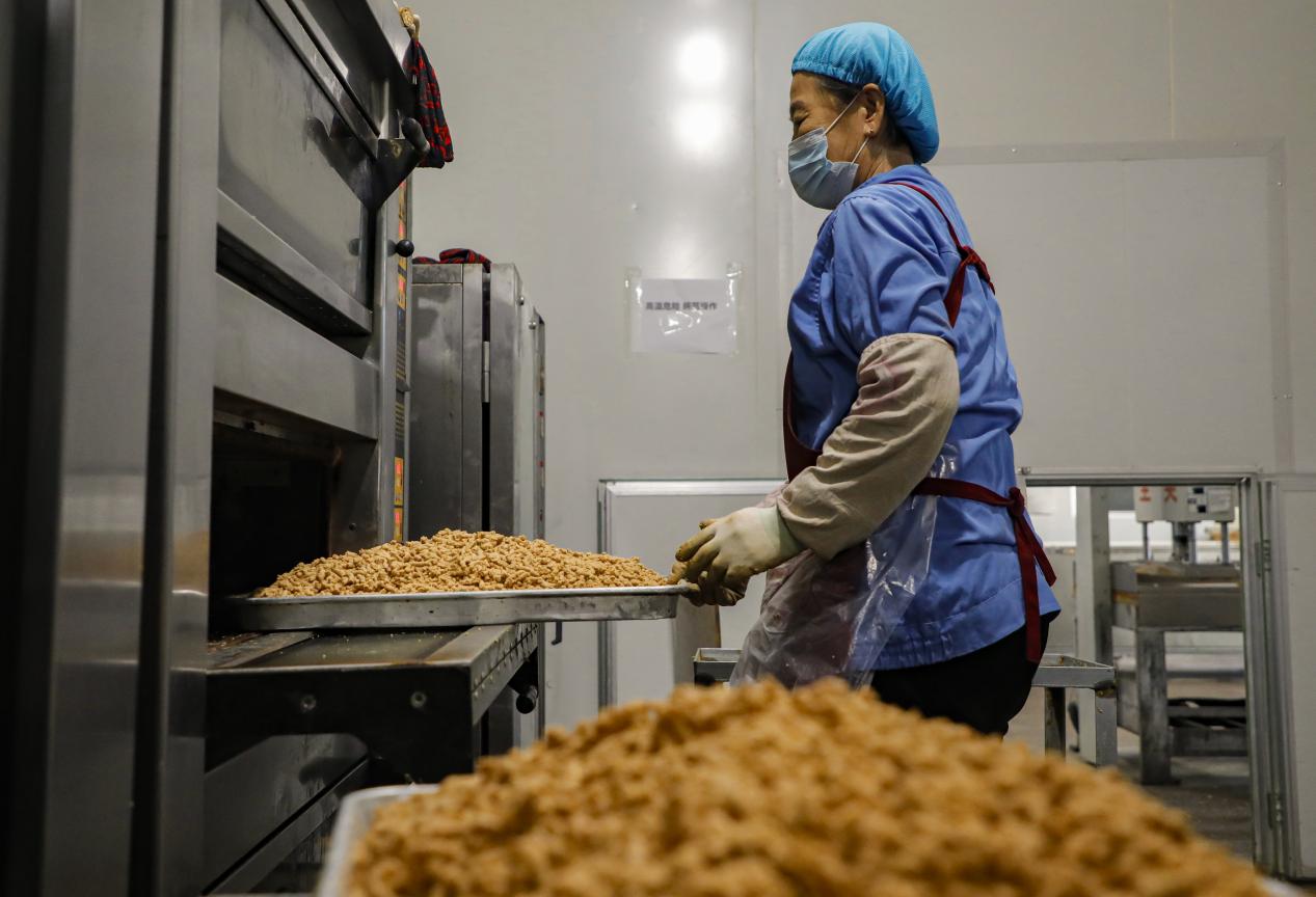 丰南区小集镇一家食品企业的生产车间内,工人正在处理花生原料。陈军摄