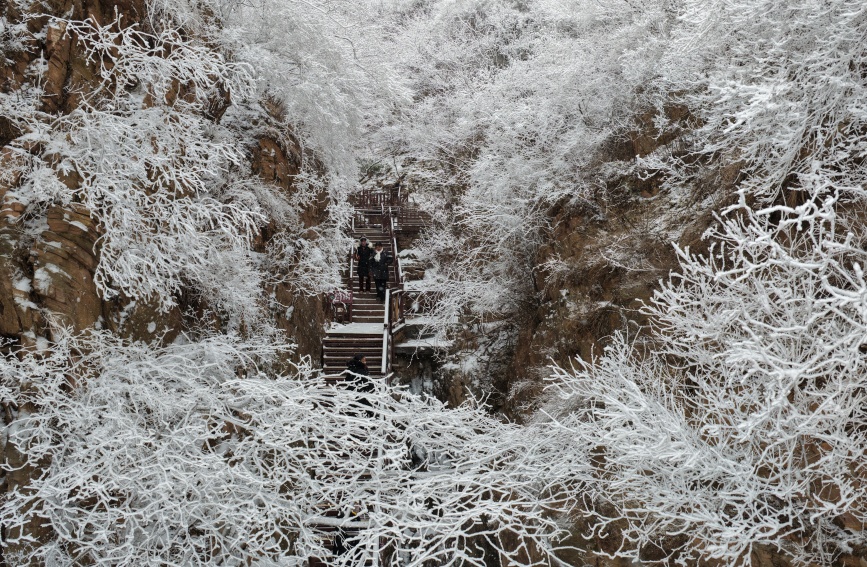 游客在武安市太行花溪谷赏雪景。李树锋摄