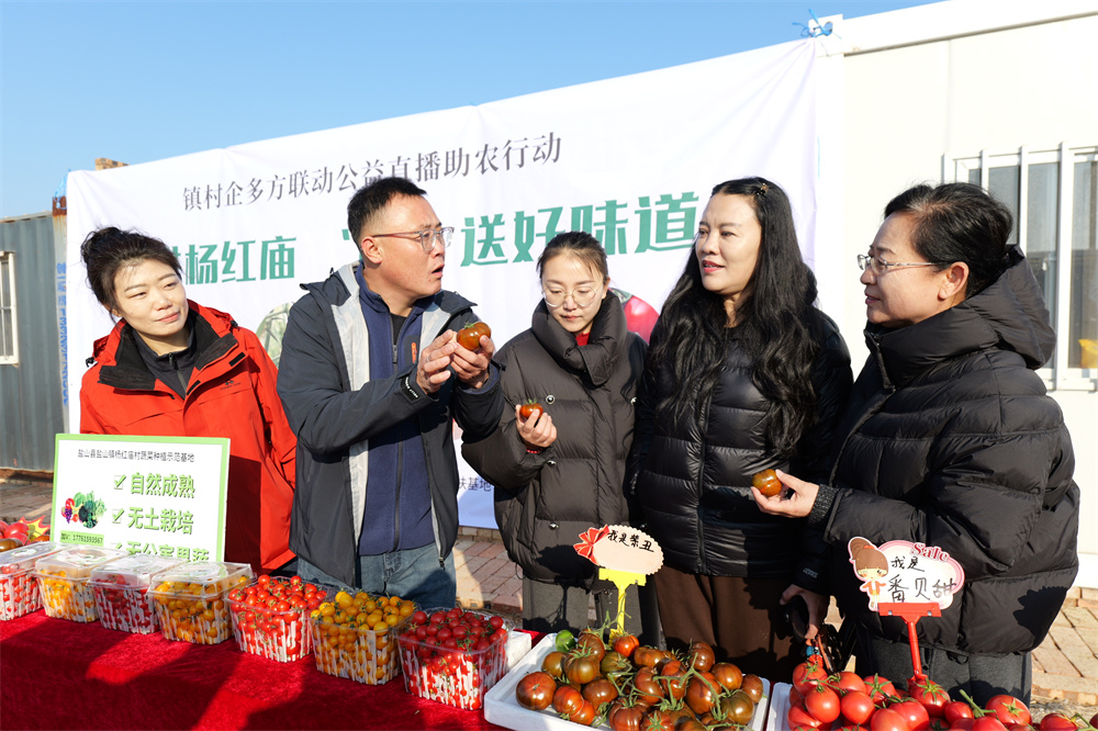 楊紅廟村黨支部書記劉明在鏡頭前介紹西紅柿種植過程。王洪勝攝