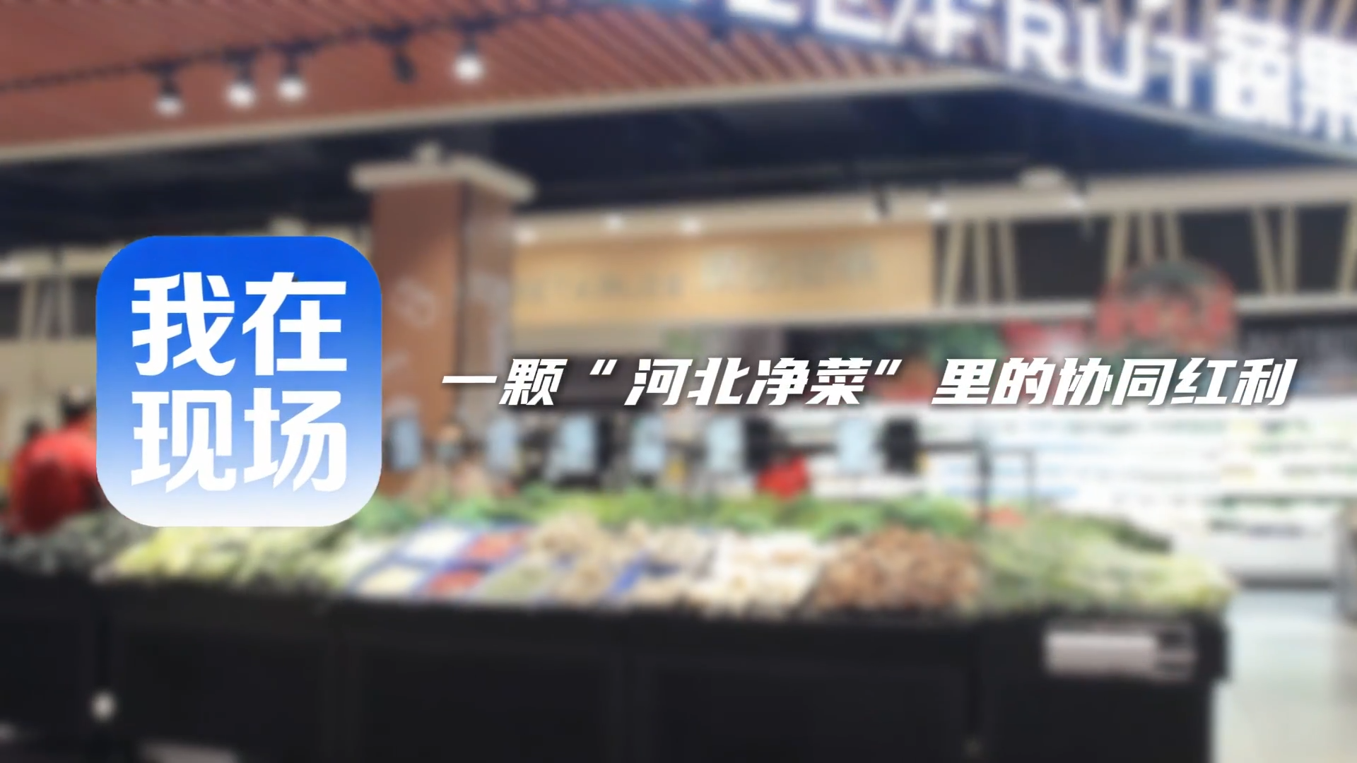 一顆“河北淨菜”裡的協同紅利