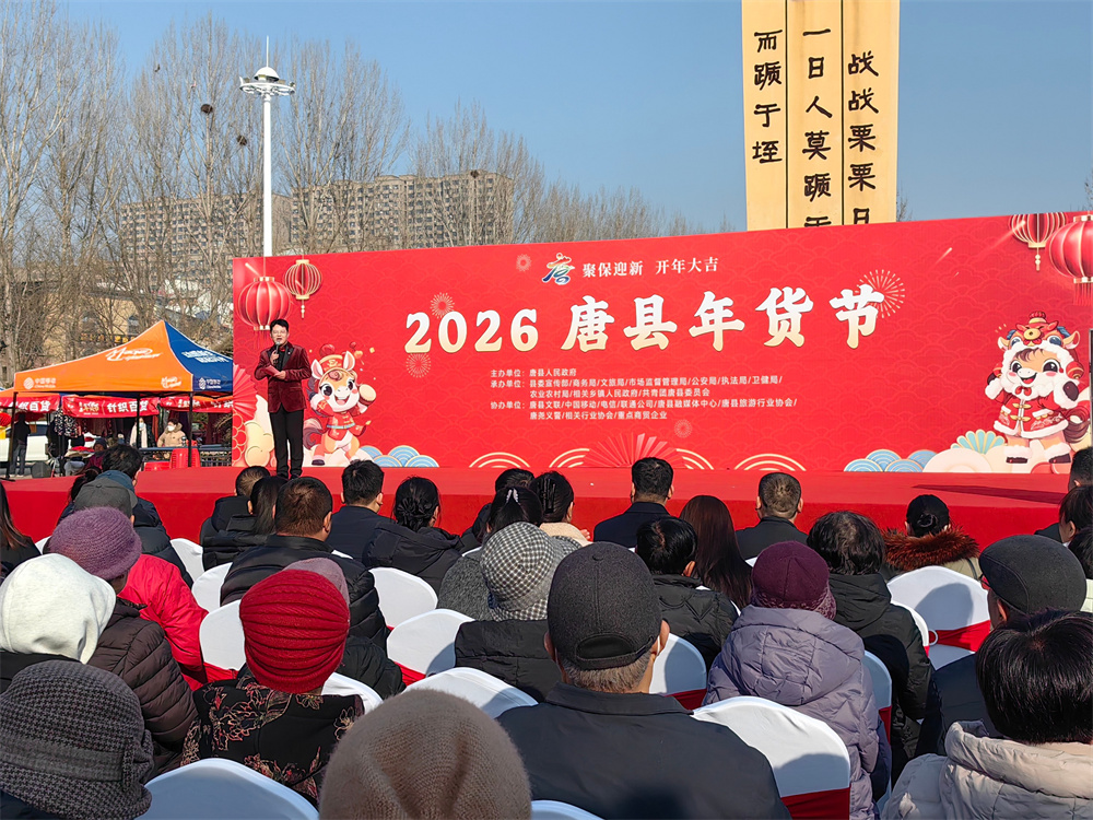 唐县年货节启动仪式现场。宋林璟摄